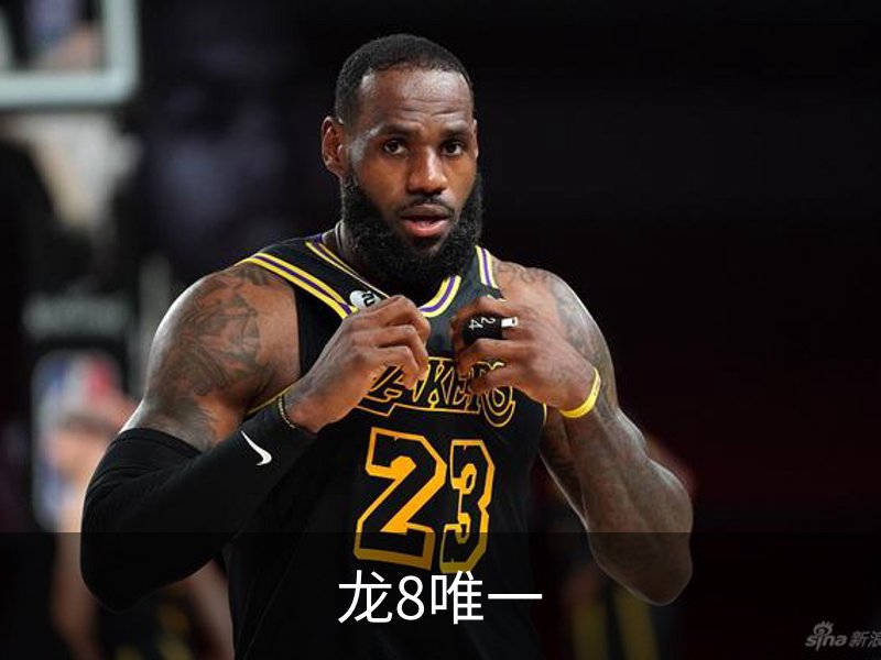 龙8唯一简介